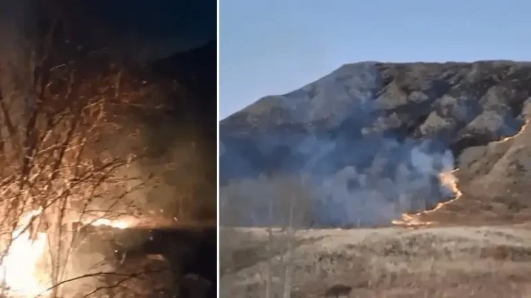 Erzurum’daki örtü yangını söndürüldü