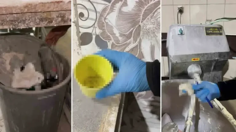 Fırın denetiminde mide bulandıran görüntü: Hepsi kayıt altına alındı