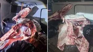 Hepsini vatandaşa yedireceklerdi: Menşei belirsiz 1 ton kırmızı et ele geçirildi