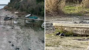 İstanbul’un en önemli su kaynaklarından biriydi: Terkos Gölü’nde su seviyesi 10 metre geri çekildi