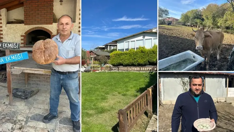 İstanbul’un göbeğinde köy hayatı: Mahallede stresten uzak organik yaşam