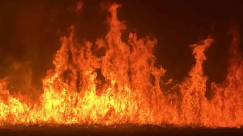 Kuş cenneti Nehil Sazlığı’nda yangın: Rüzgarın etkisiyle büyüyerek yerleşim yerlerini tehdit ediyor