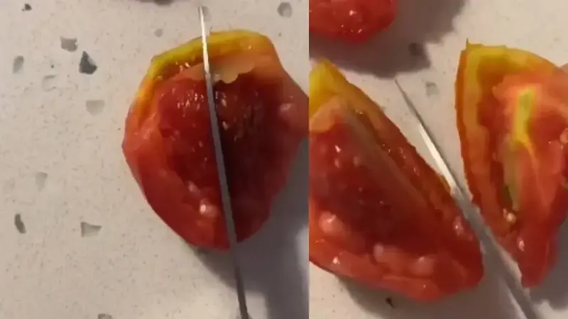 Marketten domates diye aldı evde çilek çıktı: Görünce şoka uğradı