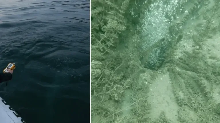 Sapanca Gölü’ndeki kabarcıklar endişeye yol açtı: Sosyal medyada gündem olan görüntünün nedenini uzmanı açıkladı