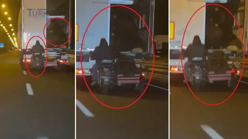 Seyir halindeki TIR’dan koyunları çaldılar: Akılalmaz hırsızlık kamerada