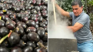 Şifa deposu doğal antiseptik: Litresi bin liradan alıcı buluyor