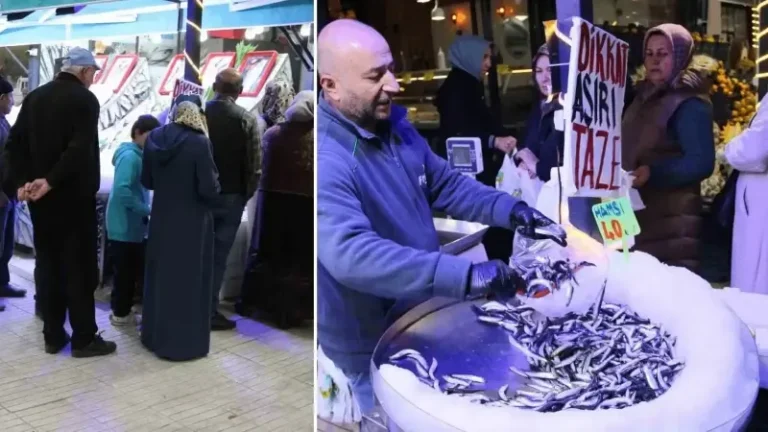 Türkiye’nin en ucuz hamsisi: Metrelerce uzunlukta kuyruk oluştu