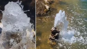 Van Gölü’nde şaşırtan görüntü: Mikrobiyalitten tatlı su fışkırdı