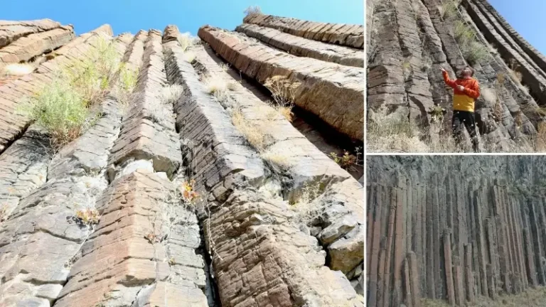 Yedi milyon yıllık: Kars’taki bazalt sütunları bilim dünyasında yerini aldı! Sınırlı sayıda örneği var