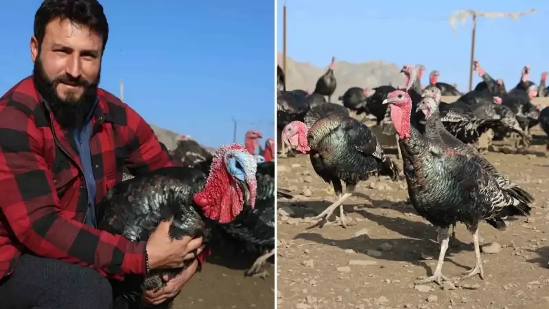 Almanya’dan Elazığ’a döndü: Kendi işinin patronu oldu! Fiyatı 3 bin 500 liraya kadar çıkıyor