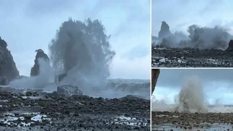 Amasra’da dalga yüksekliği 8 metreye ulaştı: Tekneler limana demirledi