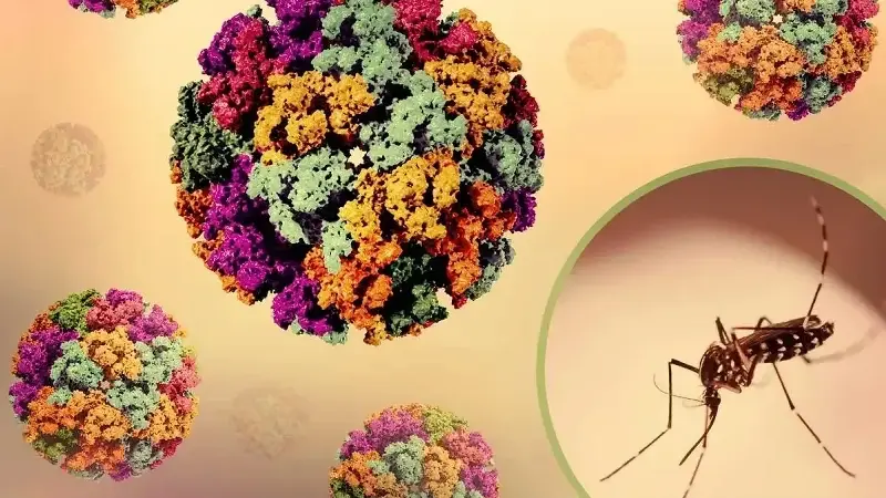 Araştırma ortaya koydu: Küresel ısınma hayvanlardan insanlara bulaşan hastalıkları artırabilir