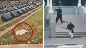 Avustralya’da gerilim tırmanıyor: Sydney kentinde Müslüman mezarlığına domuz kafaları bırakıldı