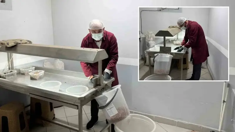 Bir yıl önce bu tesisi kurdu taleplere yetişemiyor: Gelen bir daha geliyor