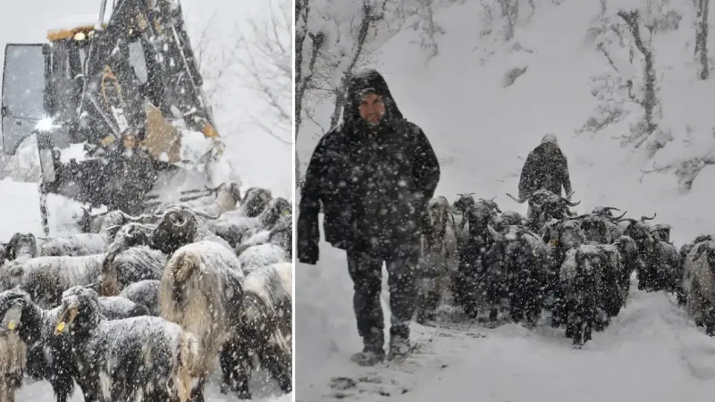 Bitlis’te kar nedeniyle yolu kapanan mezrada mahsur kalan besicilerin yardımına ekipler yetişti