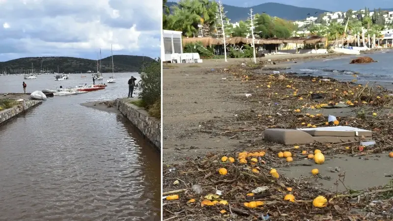 Bodrum’da yağmur suyuyla denize sürüklenen atıklar kıyıya vurdu