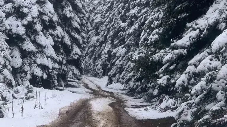 Bolu’nun yükseklerinde kar kalınlığı 10 santimetreye ulaştı