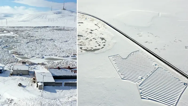 Çalı Gölü dondu: Afrika’dan Rusya’ya göç eden kuşları ağırlıyor