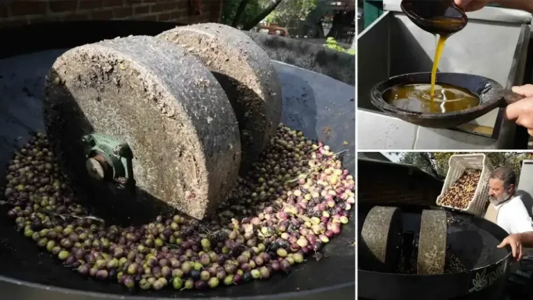 Dededen kalma 85 yıllık gelecek: ‘Taş baskı’ yöntemini yaşatıyor