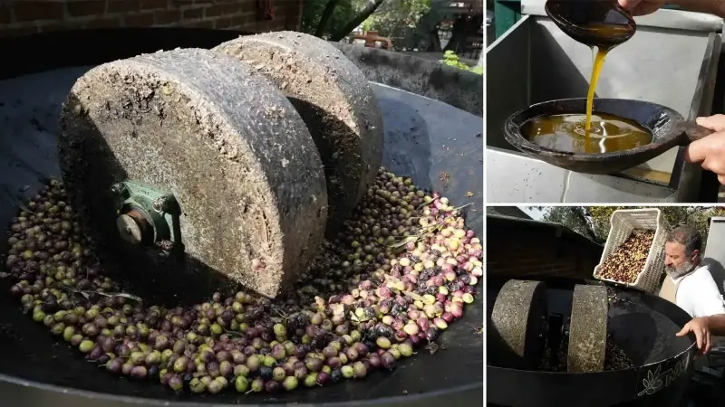 Dededen kalma 85 yıllık gelecek: ‘Taş baskı’ yöntemini yaşatıyor! Faydası bilimsel olarak kanıtlandı