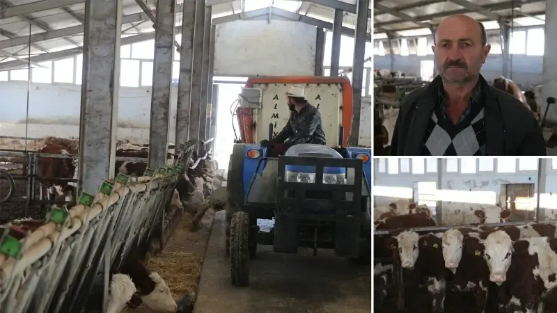 Devlet desteğiyle küçük başlangıç büyük başarıya dönüştü