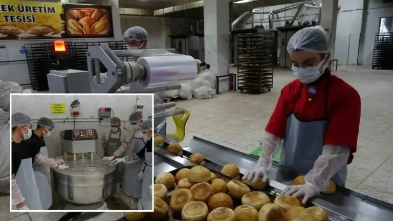 Fabrika gibi çalışan lisenin yıllık cirosu 1,5 milyon