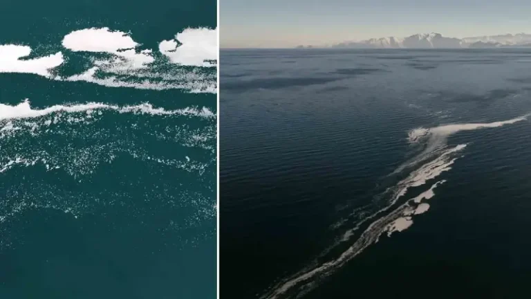 Göl yüzeyinde şaşırtan görüntü: Van Gölü’ndeki köpüklenme endişelendirdi, sırrı suyun derinliklerinde yatıyor