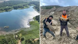 İBB’den doğa katliamı: Dolgu alanına çevrilen Arnavutköy’deki Mavi Göl’de balıklar can çekişiyor