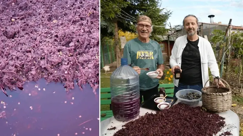 İçinde gençlik iksiri var: Karadeniz’in gizli hazinesi yaygınlaşıyor, üretimi arttırılacak, yeni gelir kapısı olacak