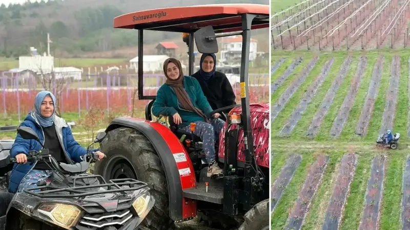 Kentten kırsala dönen 13 kadın mahallenin kaderini değiştirdi: 500 bin TL’ye kadar kazanıyorlar