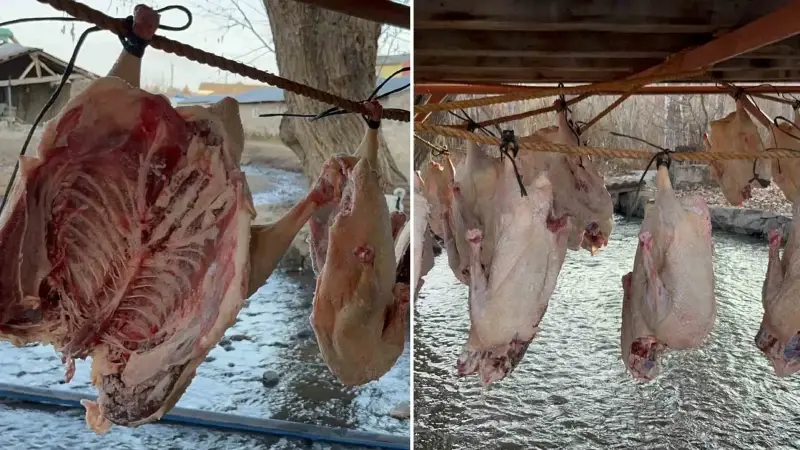Kilosu 2 bin liradan satılıyor: Kış sofralarının vazgeçilmezi! 15 ila 30 gün arasında kurutuluyor
