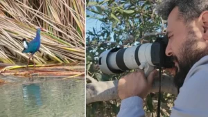 Mersin’de heyecanlandıran an: Saatler süren bekleyişin ardından görüntülendi! Dünyada çok nadir görülüyor