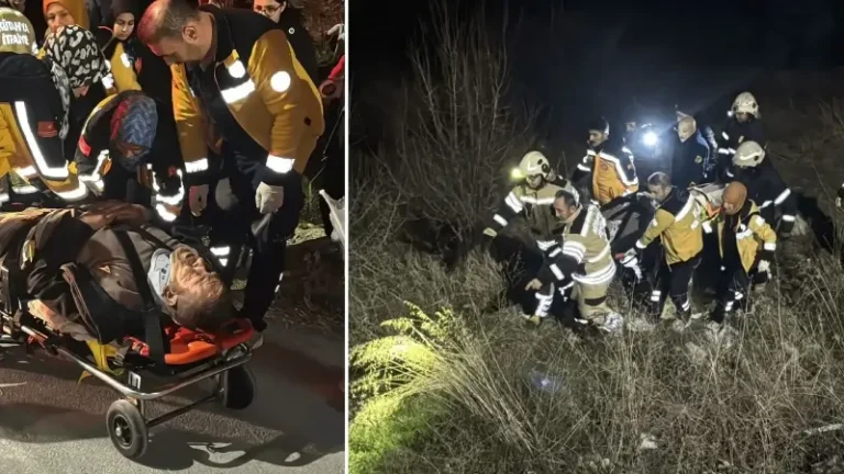 Otomobil şarampole devrildi: Sürücü yaralandı