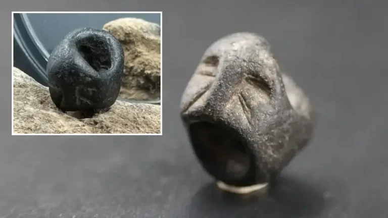 Sefertepe’de bulunan süs eşyaları dönemin usta işçiliğini gözler önüne seriyor