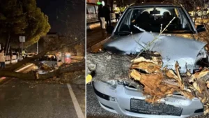 Seyir halindeki otomobilin üzerine ağaç devrildi