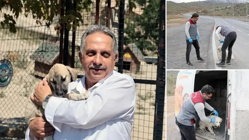 Talas Patievi Doğal Yaşam Alanı 500 can için seçkin bir yuva