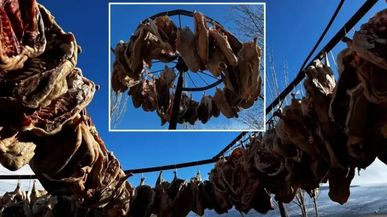 Talep patladı! 10 gün sonra yollara düşecek: Köylü yetişemiyor, ilk İstanbul’a gidecek