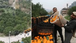 Tarlada 2 TL, markette 35 TL:  Üreticiler markette kat kat fazla satılmasına tepki gösterdi