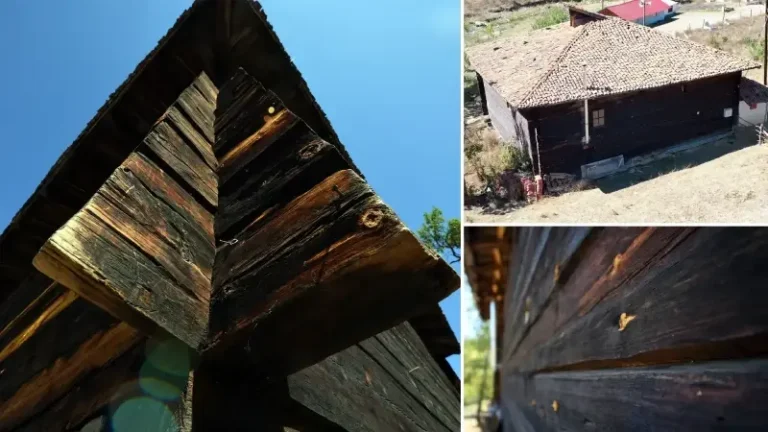 Tek bir çivi yok 126 yıldır ayakta: Esederesi Camisi