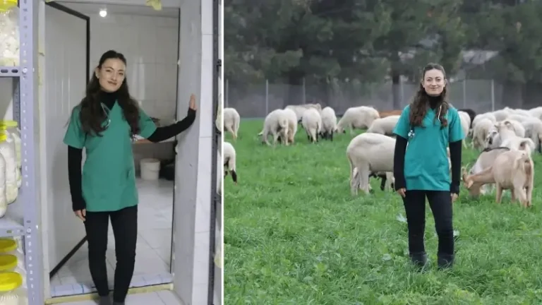 Veteriner hekim oldu, köyüne döndü: Babasından kalan mirasa gözü gibi bakıyor, devlet desteğiyle kurduğu çiftlikte şimdi siparişlere yetişemiyor