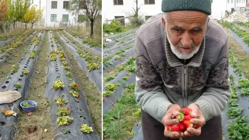 Yaptığı yürekleri ısıtan hareketle Türkiye onu konuşmuştu: İbrahim Dede’den acı haber geldi