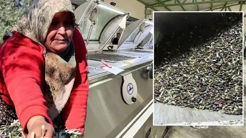 Yaşadığı şehre fabrika kurup tüm mahalleyi işe aldı: 10 milyon liralık yatırım ve yüzde 65 hibe ile yılda 250 ton ürün ihraç ediyor