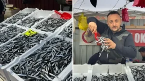 Zonguldak’ta hamsi 50 liradan 150 liraya yükseldi: ‘3 aydır herkes hamsi yiyor’