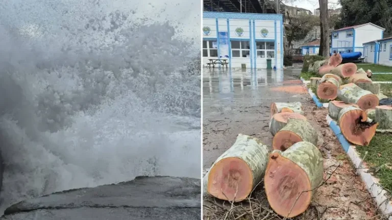 Zonguldak’ta kuvvetli rüzgar: 90 yaşındaki çınar ağacı devrildi
