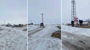 Adilcevaz’da kuduz alarmı: Bir köy karantinaya alındı