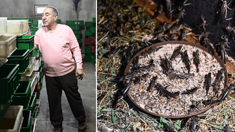 Antalya’da sıra dışı üretim: Her alanda kullanılıyor, yurt içinden ve yurt dışından talep yağıyor