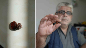 Bayburtlu ustanın milyonlarca yıllık keşfi: Doğada toplarken rastladı, zanaatını işlerken ortaya çıktı