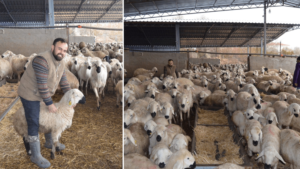 İngiltere’yi bırakıp köyüne döndü: Babasından devraldığı mesleği büyütüp kazancını katladı, ‘Hiçbir iş bu sevdamı gidermedi’