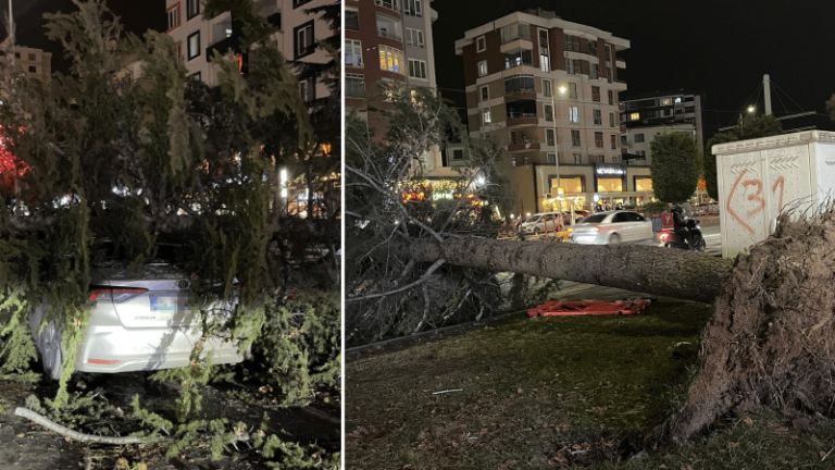 Kayseri’de kuvvetli fırtınada otomobilin üzerine ağaç devrildi