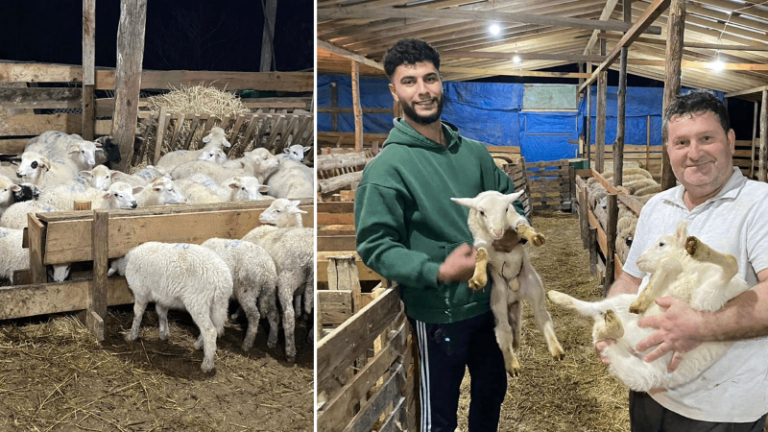 Sinoplu gençler sıfır faizli krediyle kurdu, şimdi taleplere yetişemiyor: 10 ayda ikiye katladılar